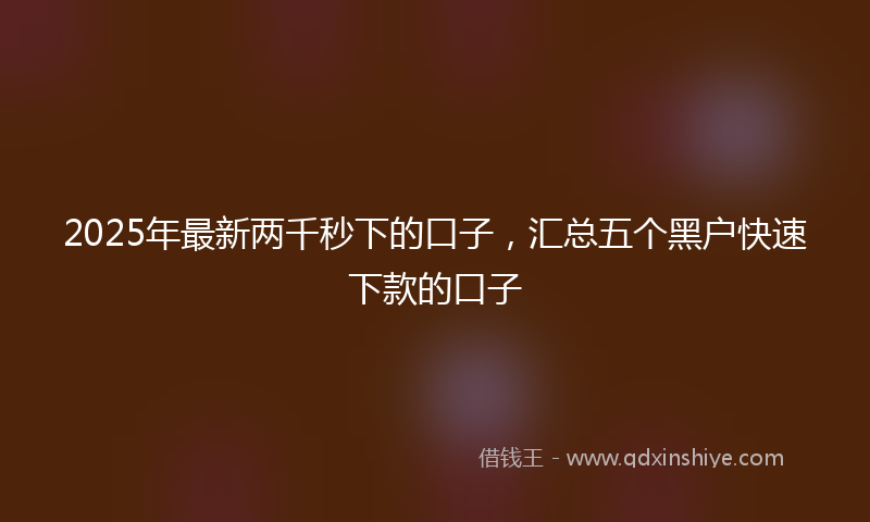 2025年最新两千秒下的口子，汇总五个黑户快速下款的口子
