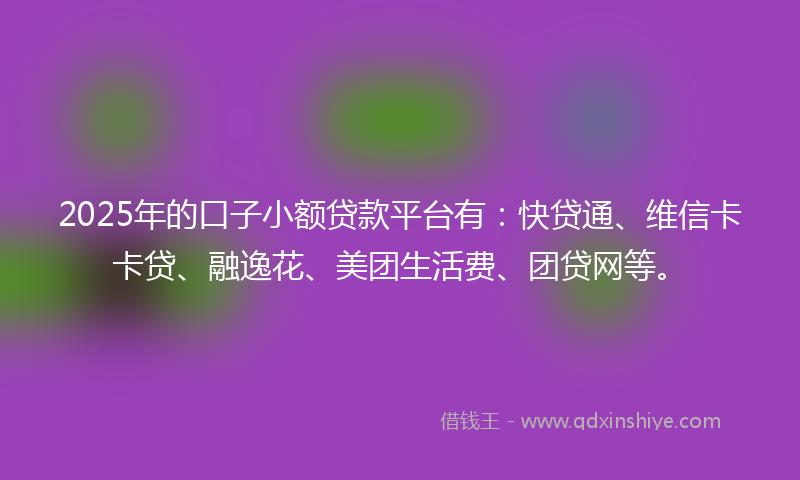 2025年的口子小额贷款平台有：快贷通、维信卡卡贷、融逸花、美团生活费、团贷网等。