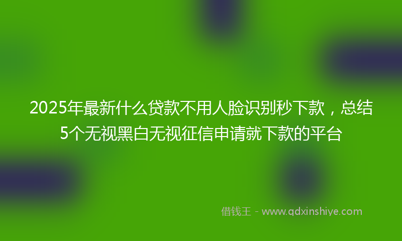 2025年最新什么贷款不用人脸识别秒下款，总结5个无视黑白无视征信申请就下款的平台