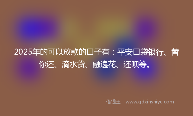 2025年的可以放款的口子有：平安口袋银行、替你还、滴水贷、融逸花、还呗等。