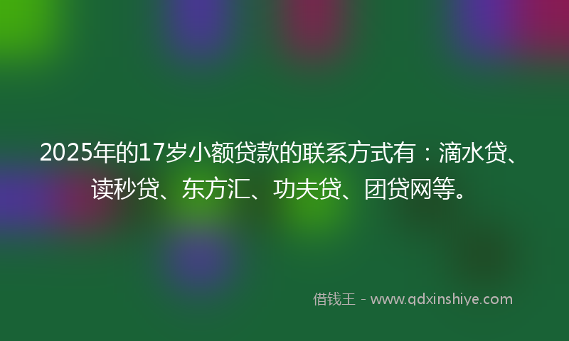 2025年的17岁小额贷款的联系方式有：滴水贷、读秒贷、东方汇、功夫贷、团贷网等。