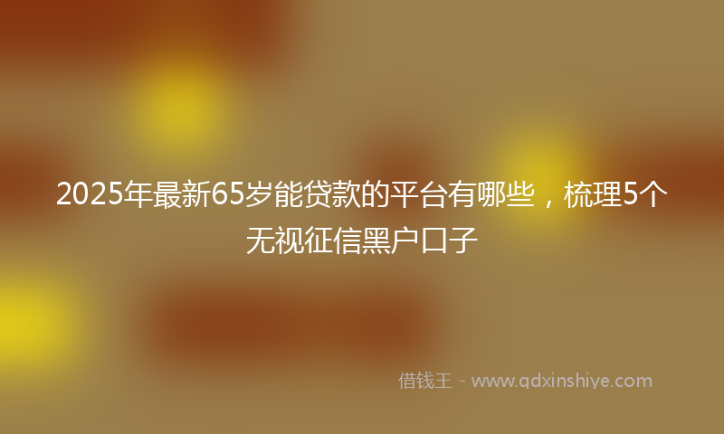 2025年最新65岁能贷款的平台有哪些，梳理5个无视征信黑户口子