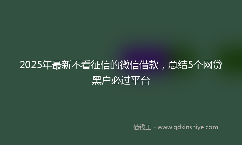 2025年最新不看征信的微信借款，总结5个网贷黑户必过平台