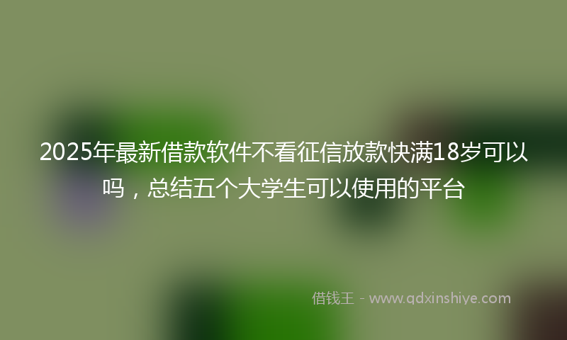 2025年最新借款软件不看征信放款快满18岁可以吗，总结五个大学生可以使用的平台
