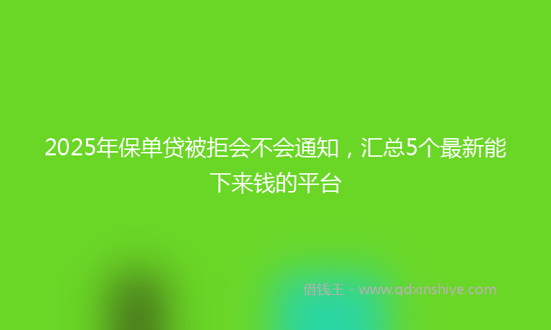 2025年保单贷被拒会不会通知，汇总5个最新能下来钱的平台