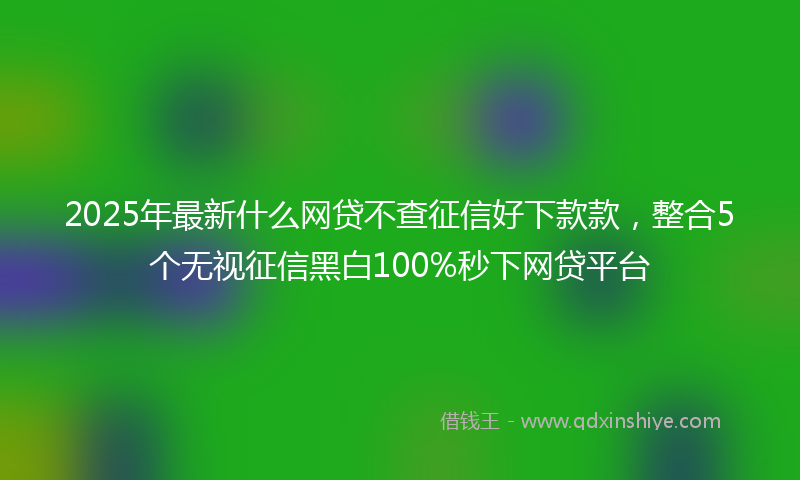 2025年最新什么网贷不查征信好下款款，整合5个无视征信黑白100%秒下网贷平台