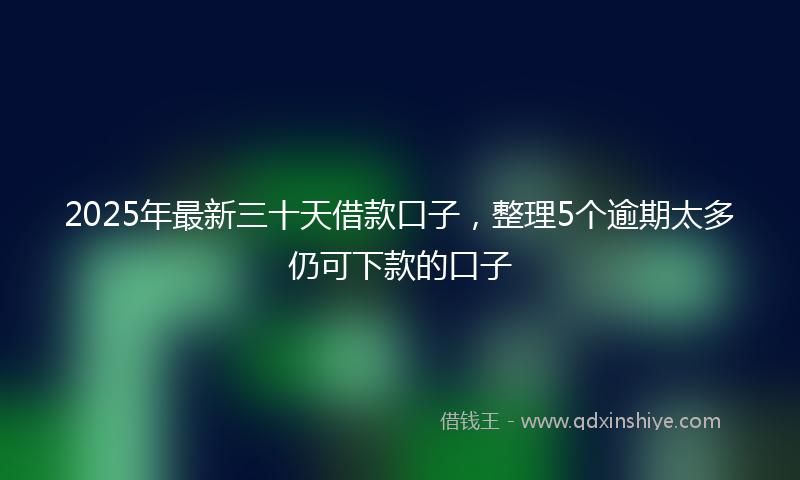 2025年最新三十天借款口子，整理5个逾期太多仍可下款的口子
