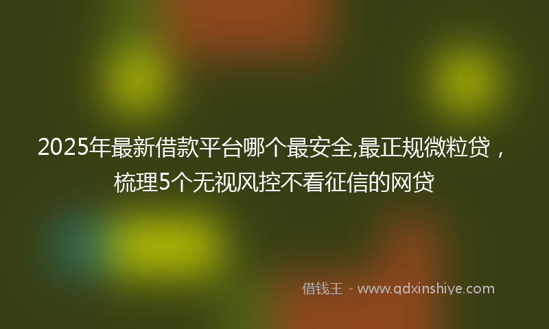 2025年最新借款平台哪个最安全,最正规微粒贷，梳理5个无视风控不看征信的网贷