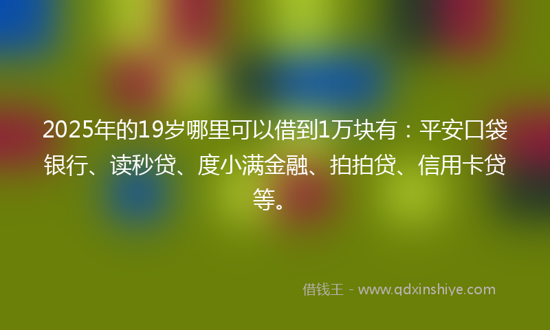 2025年的19岁哪里可以借到1万块有：平安口袋银行、读秒贷、度小满金融、拍拍贷、信用卡贷等。