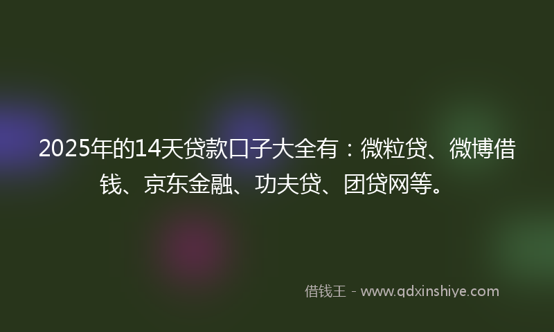 2025年的14天贷款口子大全有：微粒贷、微博借钱、京东金融、功夫贷、团贷网等。