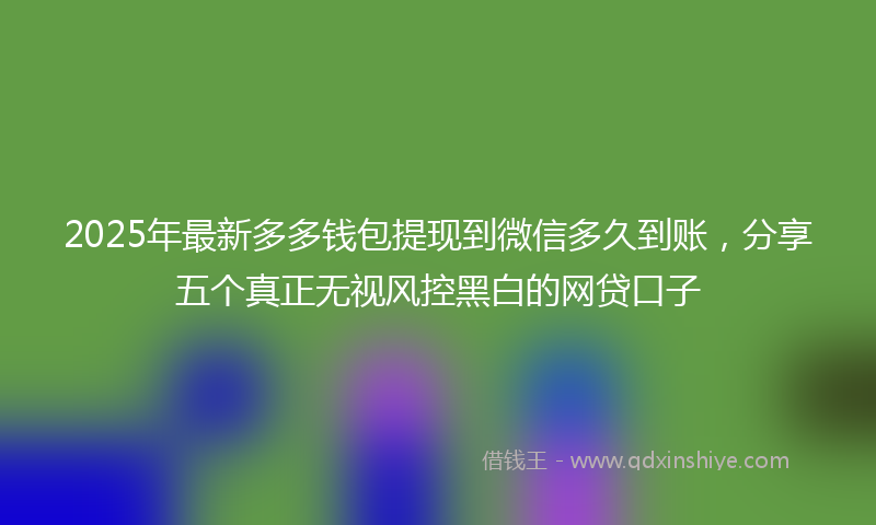2025年最新多多钱包提现到微信多久到账，分享五个真正无视风控黑白的网贷口子