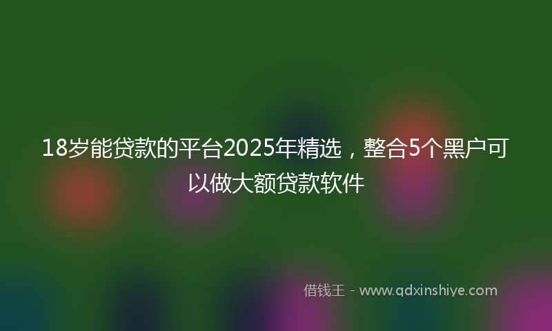 18岁能贷款的平台2025年精选，整合5个黑户可以做大额贷款软件