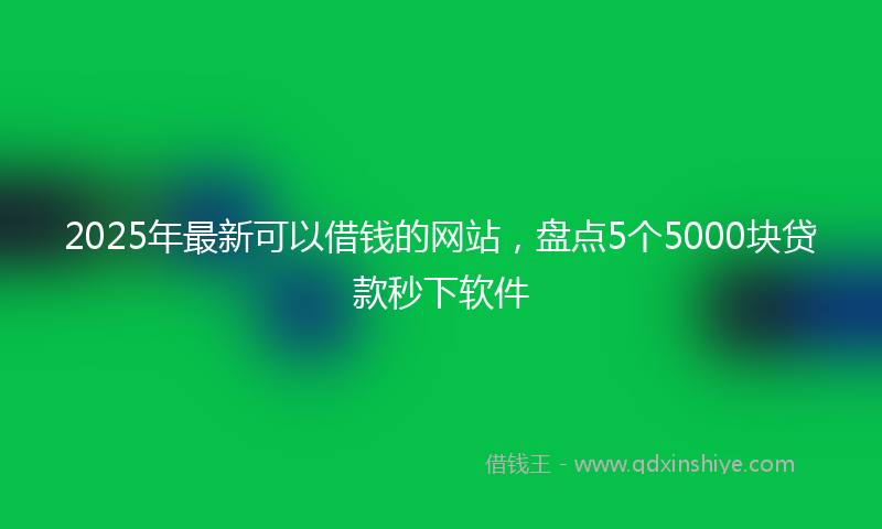 2025年最新可以借钱的网站，盘点5个5000块贷款秒下软件