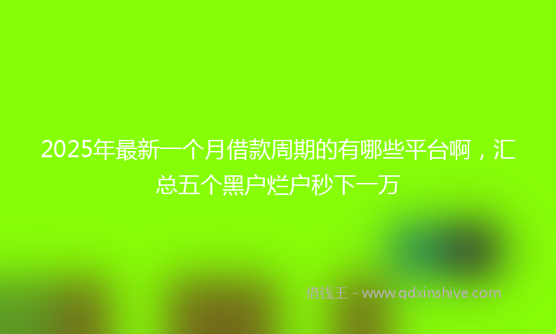 2025年最新一个月借款周期的有哪些平台啊，汇总五个黑户烂户秒下一万