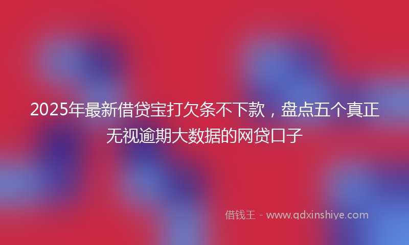 2025年最新借贷宝打欠条不下款，盘点五个真正无视逾期大数据的网贷口子