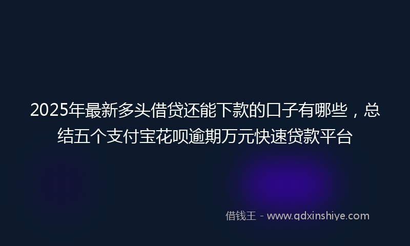 2025年最新多头借贷还能下款的口子有哪些，总结五个支付宝花呗逾期万元快速贷款平台