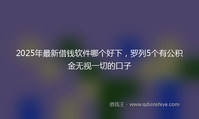 2025年最新借钱软件哪个好下，罗列5个有公积金无视一切的口子