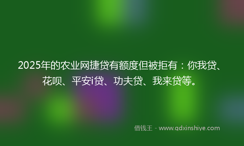 2025年的农业网捷贷有额度但被拒有：你我贷、花呗、平安i贷、功夫贷、我来贷等。