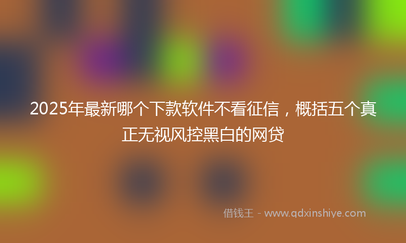 2025年最新哪个下款软件不看征信，概括五个真正无视风控黑白的网贷