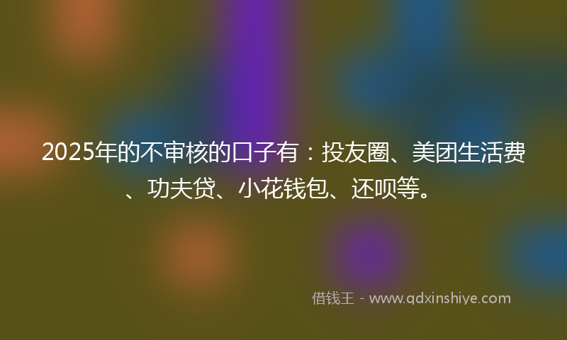 2025年的不审核的口子有：投友圈、美团生活费、功夫贷、小花钱包、还呗等。