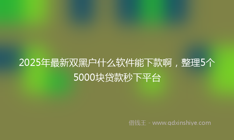 2025年最新双黑户什么软件能下款啊，整理5个5000块贷款秒下平台