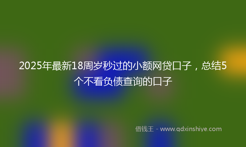 2025年最新18周岁秒过的小额网贷口子，总结5个不看负债查询的口子