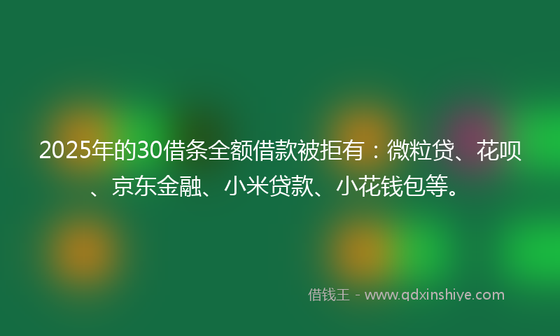 2025年的30借条全额借款被拒有：微粒贷、花呗、京东金融、小米贷款、小花钱包等。