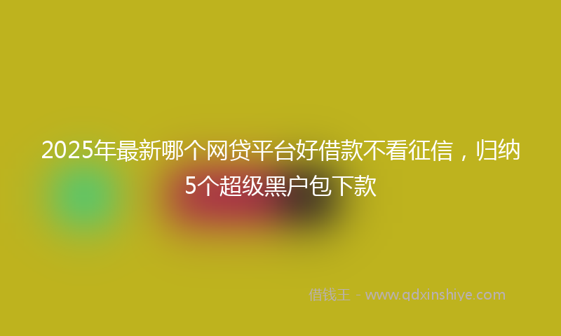 2025年最新哪个网贷平台好借款不看征信，归纳5个超级黑户包下款