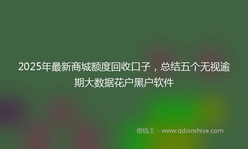 2025年最新商城额度回收口子，总结五个无视逾期大数据花户黑户软件