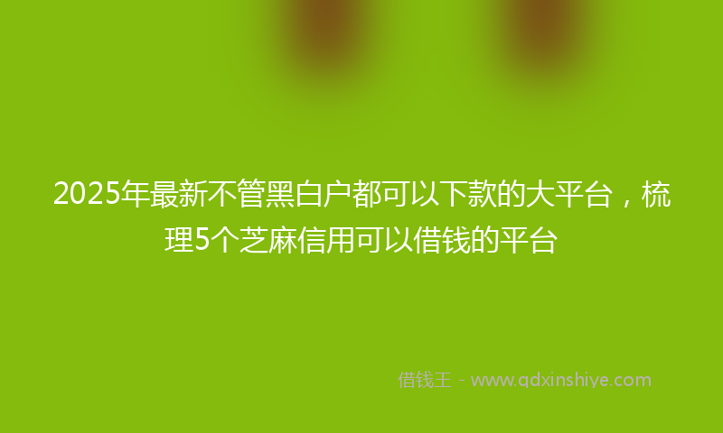 2025年最新不管黑白户都可以下款的大平台，梳理5个芝麻信用可以借钱的平台