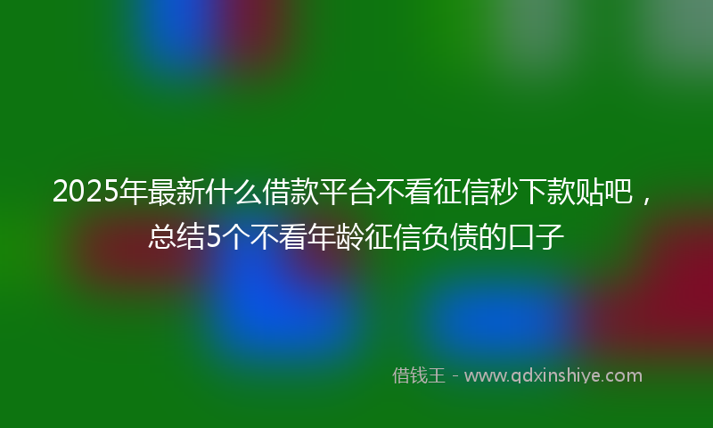 2025年最新什么借款平台不看征信秒下款贴吧，总结5个不看年龄征信负债的口子