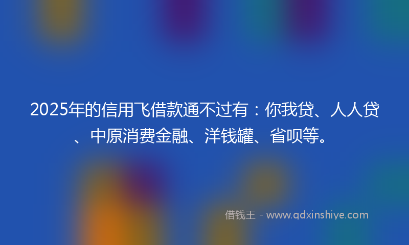 2025年的信用飞借款通不过有：你我贷、人人贷、中原消费金融、洋钱罐、省呗等。