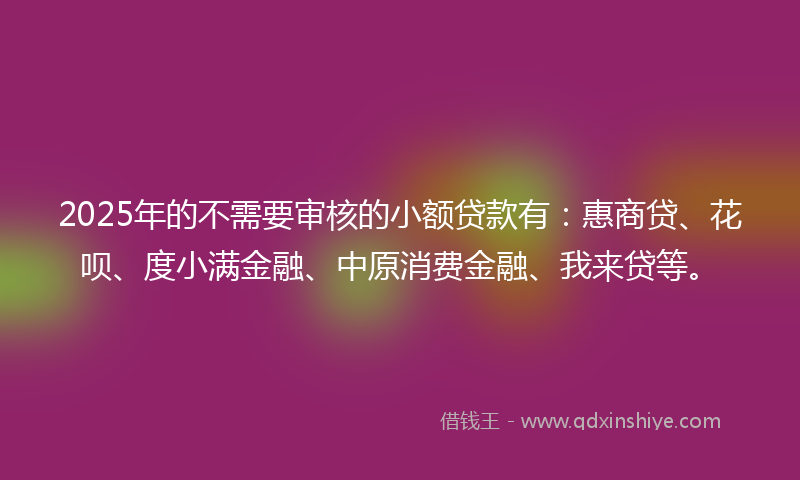 2025年的不需要审核的小额贷款有：惠商贷、花呗、度小满金融、中原消费金融、我来贷等。