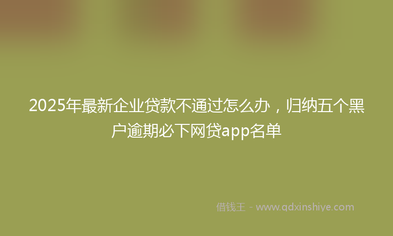2025年最新企业贷款不通过怎么办，归纳五个黑户逾期必下网贷app名单