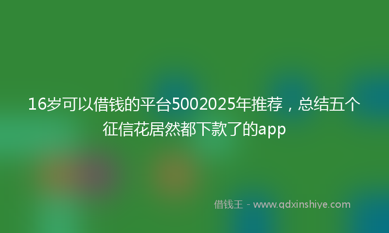 16岁可以借钱的平台5002025年推荐，总结五个征信花居然都下款了的app