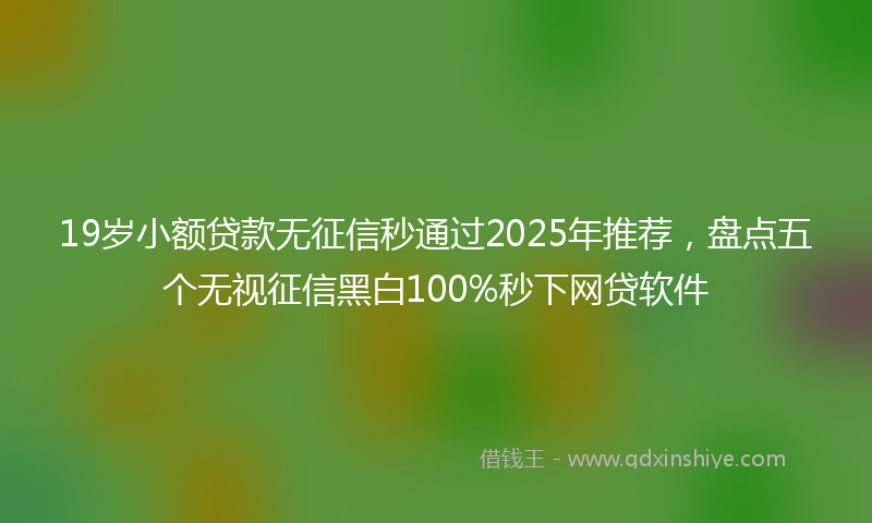 19岁小额贷款无征信秒通过2025年推荐，盘点五个无视征信黑白100%秒下网贷软件