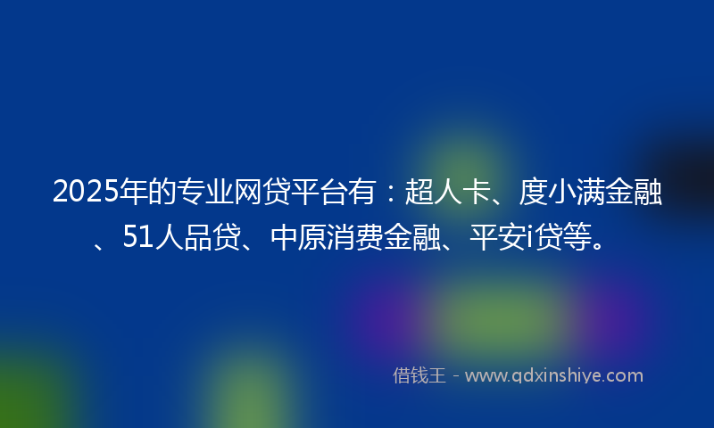 2025年的专业网贷平台有：超人卡、度小满金融、51人品贷、中原消费金融、平安i贷等。