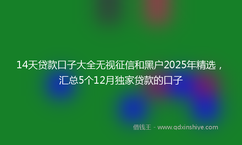 14天贷款口子大全无视征信和黑户2025年精选，汇总5个12月独家贷款的口子