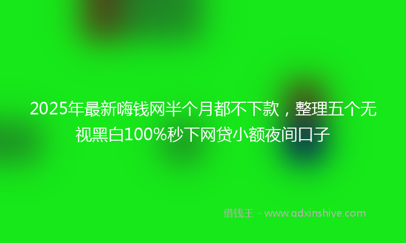 2025年最新嗨钱网半个月都不下款，整理五个无视黑白100%秒下网贷小额夜间口子