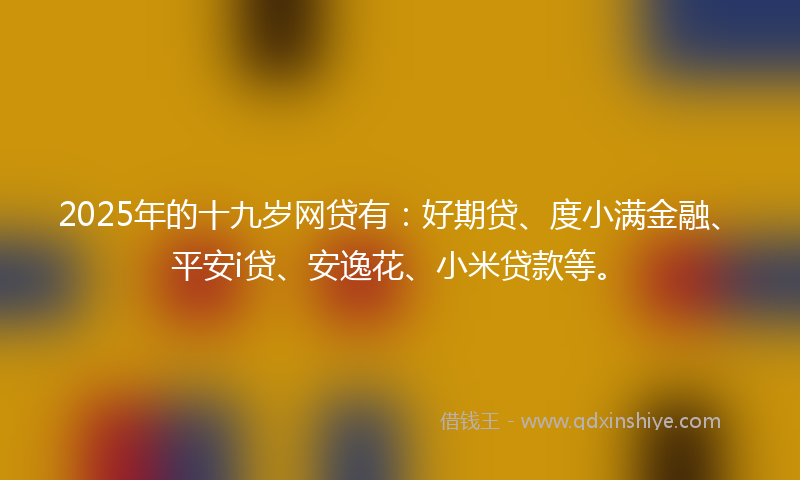 2025年的十九岁网贷有：好期贷、度小满金融、平安i贷、安逸花、小米贷款等。