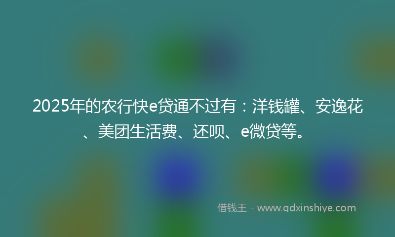 2025年的农行快e贷通不过有：洋钱罐、安逸花、美团生活费、还呗、e微贷等。