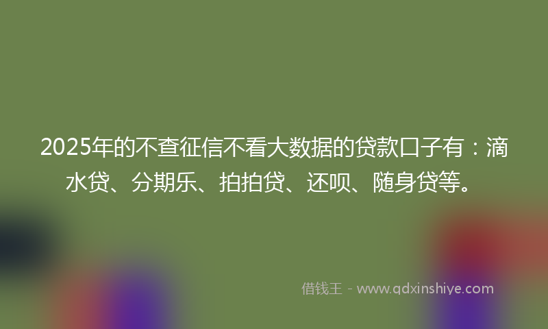2025年的不查征信不看大数据的贷款口子有：滴水贷、分期乐、拍拍贷、还呗、随身贷等。
