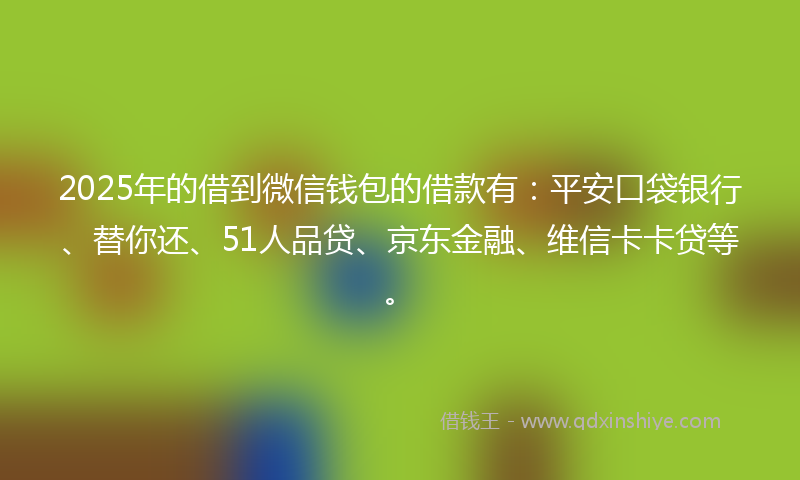 2025年的借到微信钱包的借款有：平安口袋银行、替你还、51人品贷、京东金融、维信卡卡贷等。