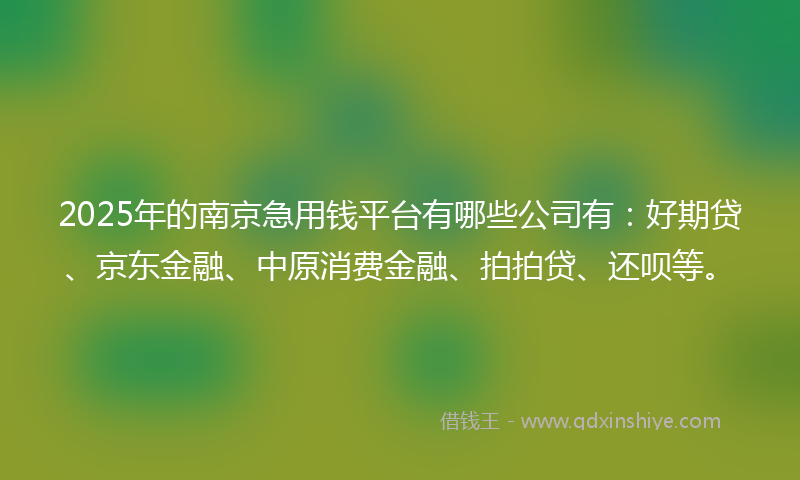 2025年的南京急用钱平台有哪些公司有：好期贷、京东金融、中原消费金融、拍拍贷、还呗等。