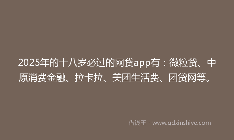 2025年的十八岁必过的网贷app有：微粒贷、中原消费金融、拉卡拉、美团生活费、团贷网等。