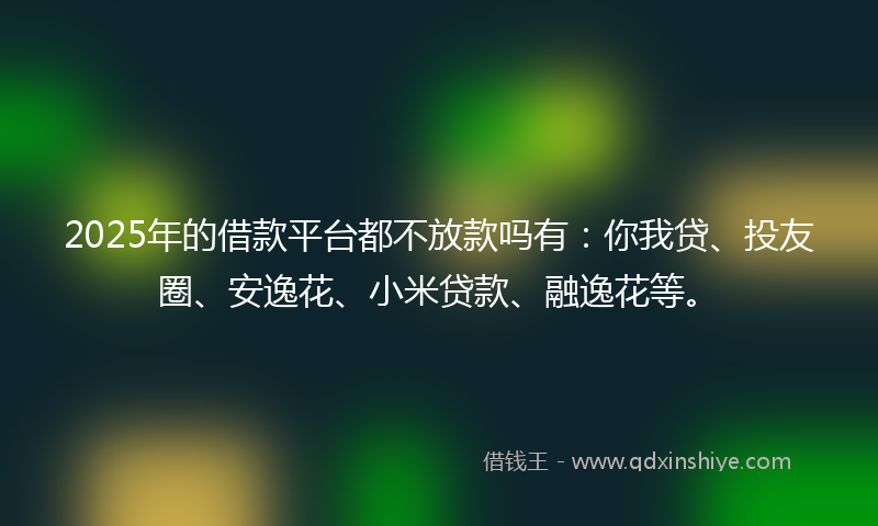 2025年的借款平台都不放款吗有：你我贷、投友圈、安逸花、小米贷款、融逸花等。