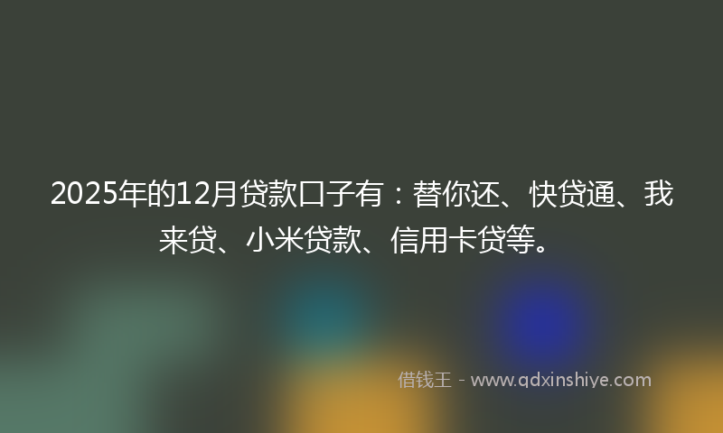 2025年的12月贷款口子有：替你还、快贷通、我来贷、小米贷款、信用卡贷等。