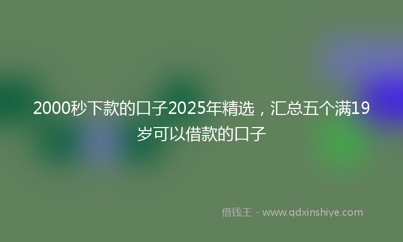 2000秒下款的口子2025年精选，汇总五个满19岁可以借款的口子