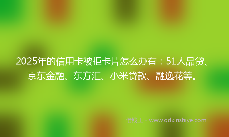 2025年的信用卡被拒卡片怎么办有：51人品贷、京东金融、东方汇、小米贷款、融逸花等。