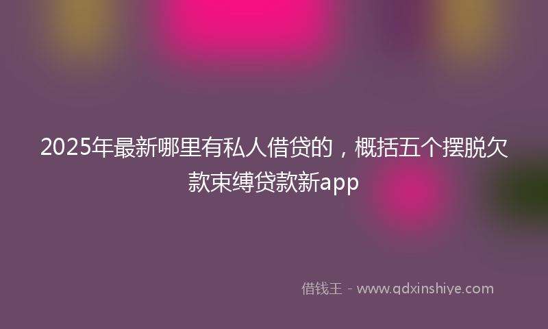 2025年最新哪里有私人借贷的，概括五个摆脱欠款束缚贷款新app